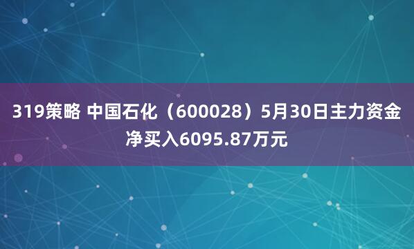 319策略 中国石化（600028）5月30日主力资金净买入6095.87万元