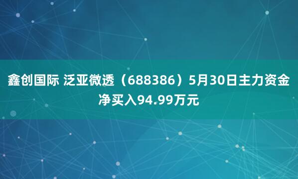 鑫创国际 泛亚微透（688386）5月30日主力资金净买入94.99万元