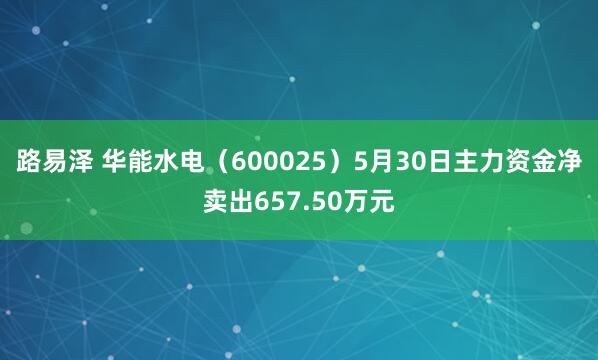 路易泽 华能水电(600025)5月30日主力资金净卖出657.50万元