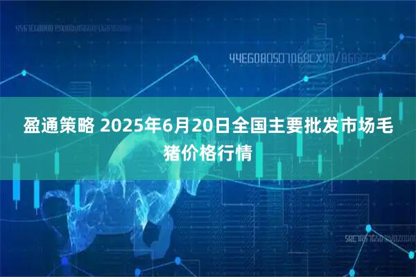 盈通策略 2025年6月20日全国主要批发市场毛猪价格行情