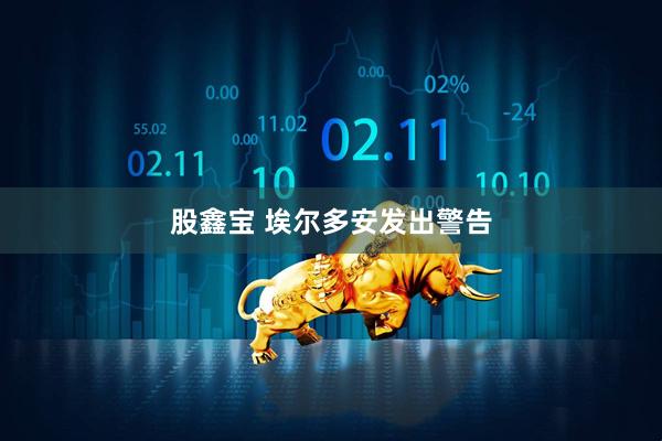 股鑫宝 埃尔多安发出警告