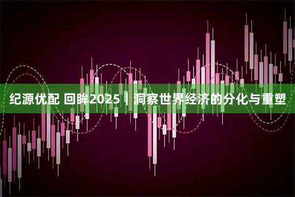 纪源优配 回眸2025｜洞察世界经济的分化与重塑